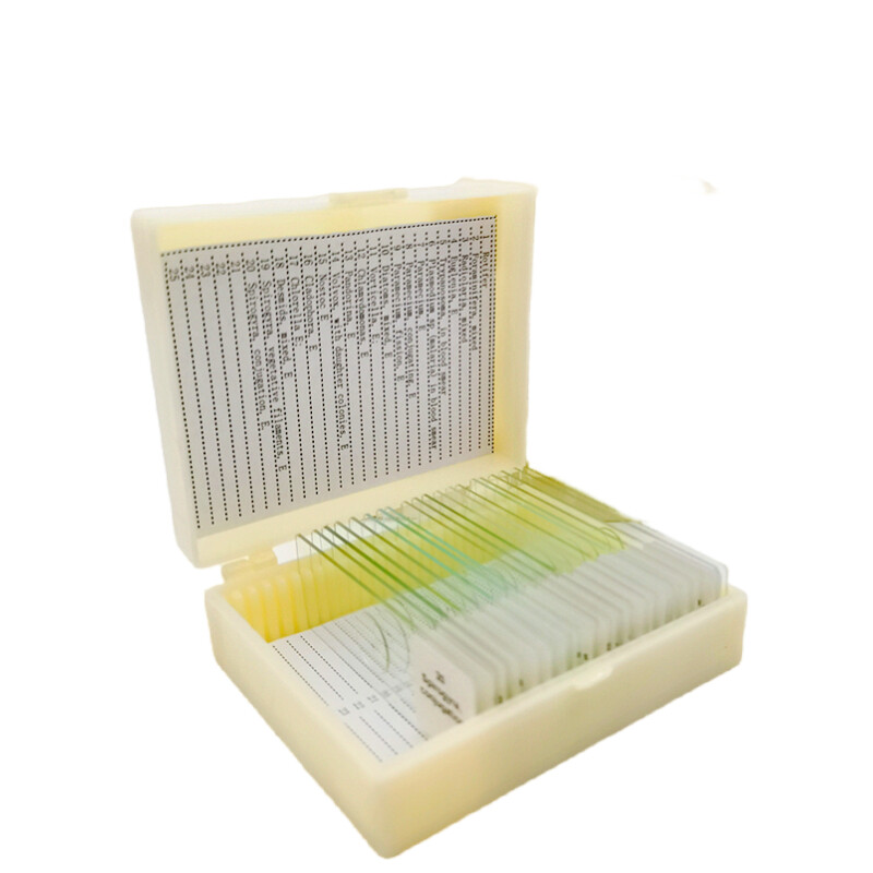 20 chiếc kính bào chế vi sinh vật nguyên sinh và tảo kính hiển vi mẫu vật vi sinh vật