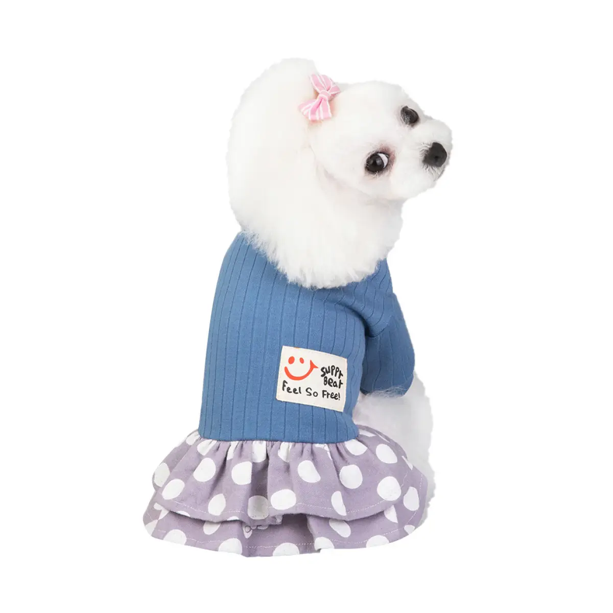 pet cat dress