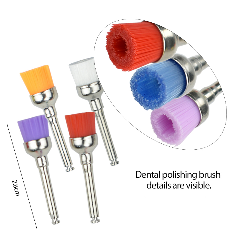 100 cái đánh bóng răng bàn chải Latch Bát Nylon nha khoa bàn chải dự phòng phòng thí nghiệm nha khoa đánh bóng bàn chải