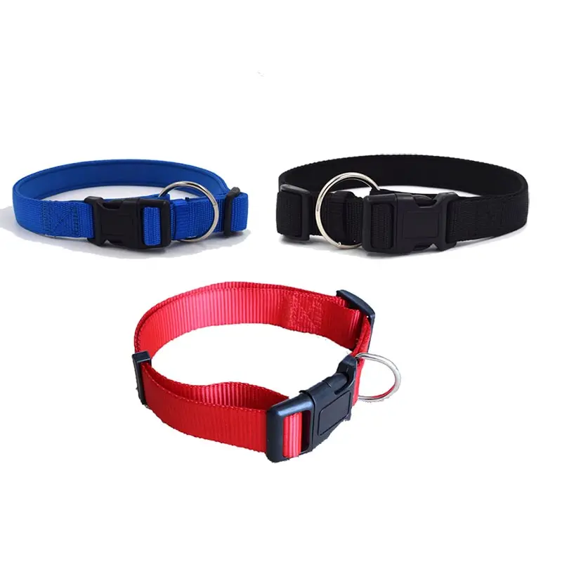 buckle dog collars