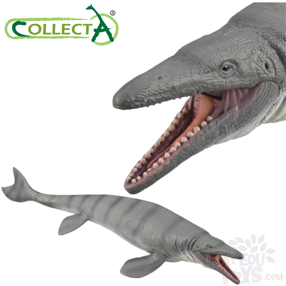 88975 CollectA Mosasaurus with Movable Jaw Deluxe 1:40 Scale