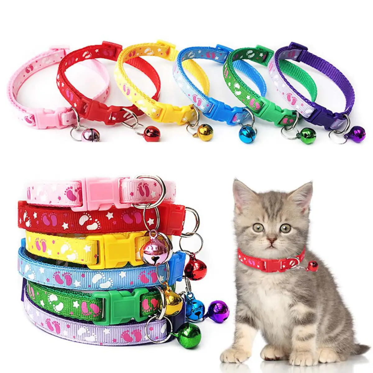 cat and dog accessories