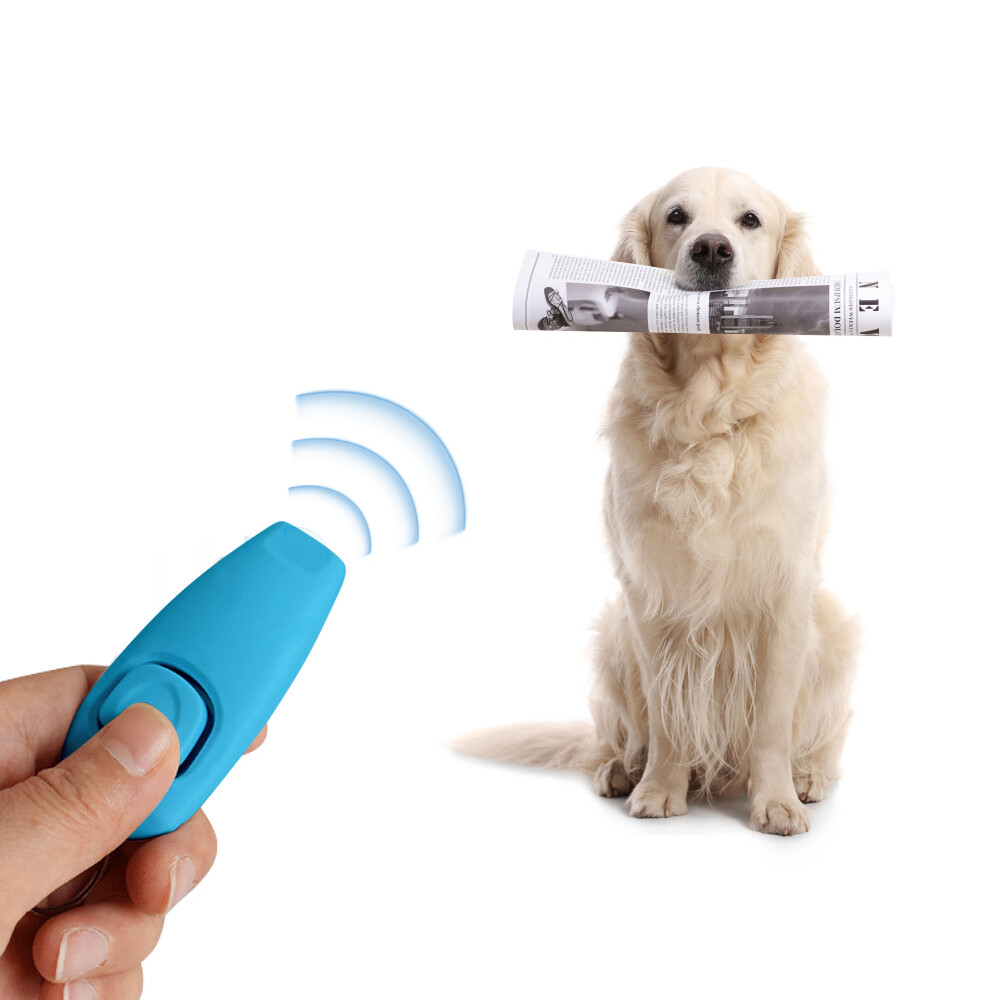 how to use a dog clicker to stop barking