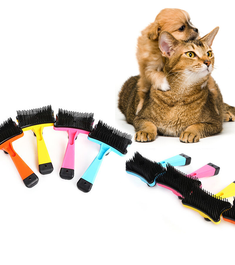 kitten hair brush