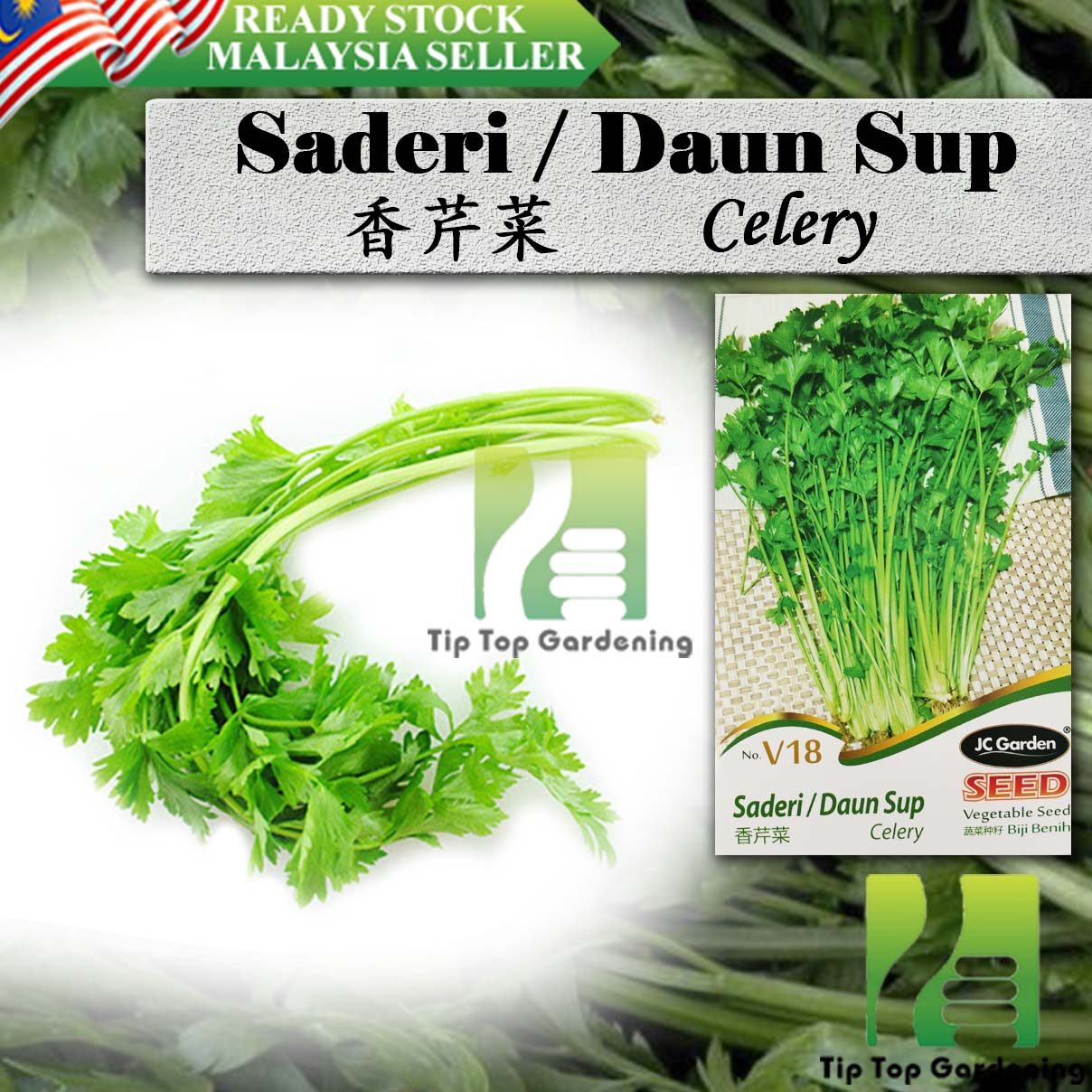 V18 Calery Jc Garden Vegetable Seed Biji Benih Saderi Daun Sup Lazada