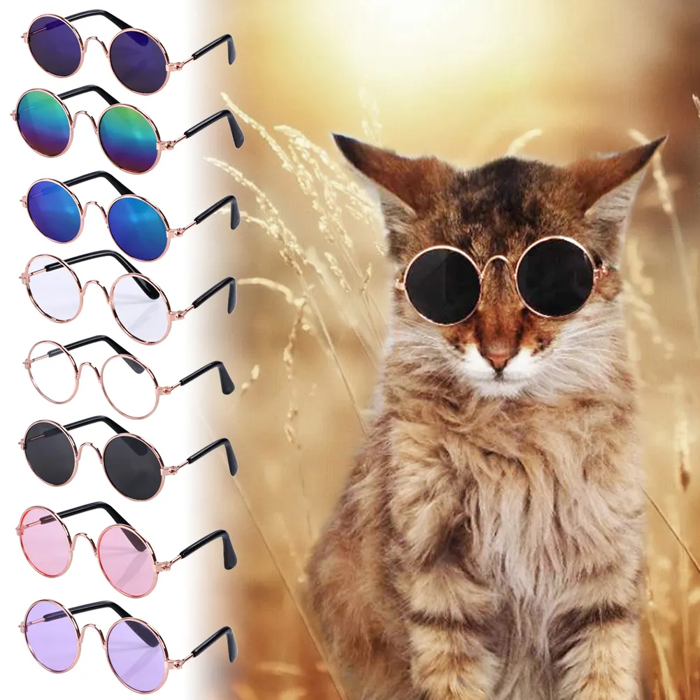 cute dog sunglasses