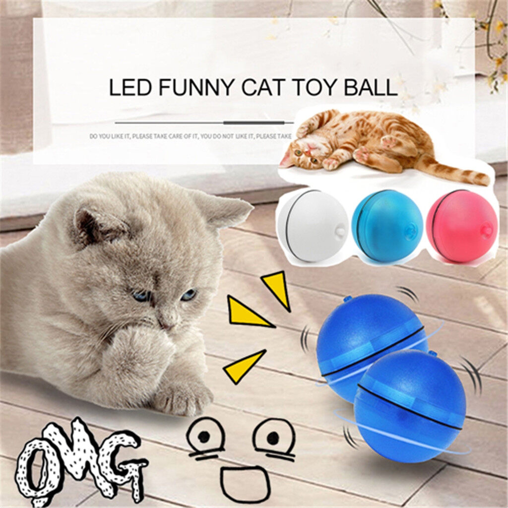 motion ball for cats