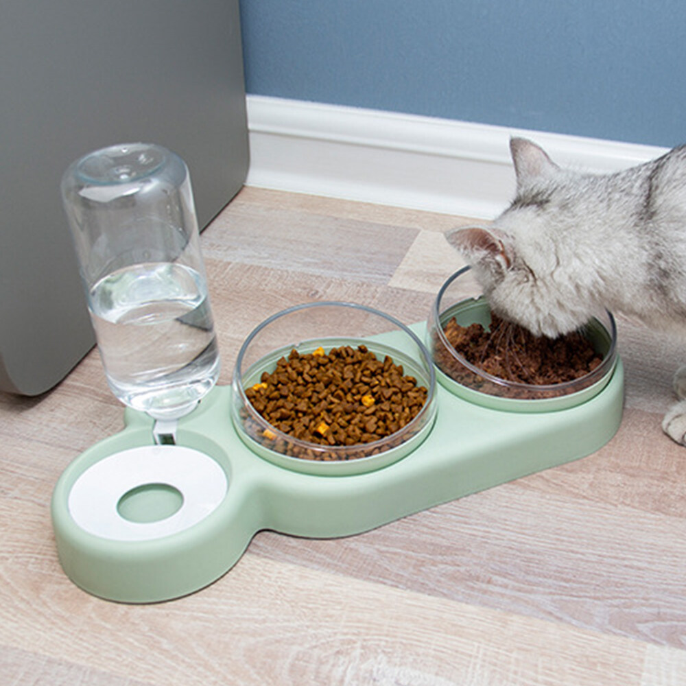 chewy cat bowls