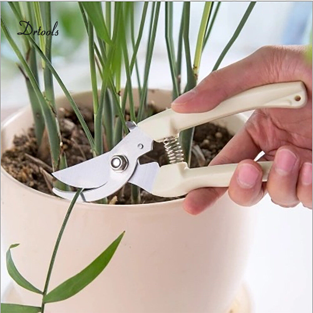 thép không gỉ vườn công cụ ghép công cụ trái cây cây kéo cắt tỉa bonsai 13