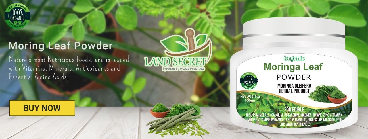 Moringa Leaf Powder - Land Secret