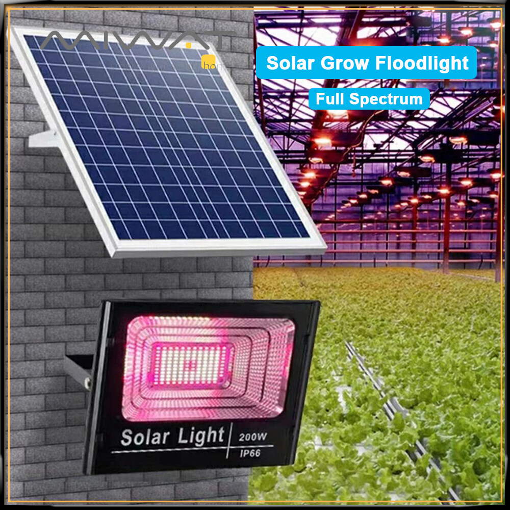 MIWAT Đèn LED Trồng Cây Năng Lượng Mặt Trời Đèn Pha Trồng Cây Năng Lượng Mặt Trời 200W Quang Phổ Đầy Đủ Đèn Phyto Cho Vườn Ngoài Trời Nhà Kính Đèn Trồng Cây Thủy Canh
