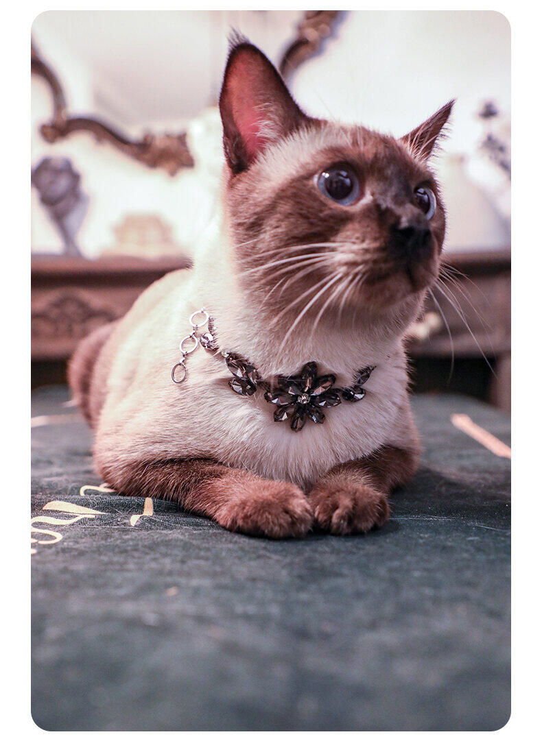 vòng cổ trang sức cho mèo arkika vòng cổ ngọc trai kim cương trang sức 18