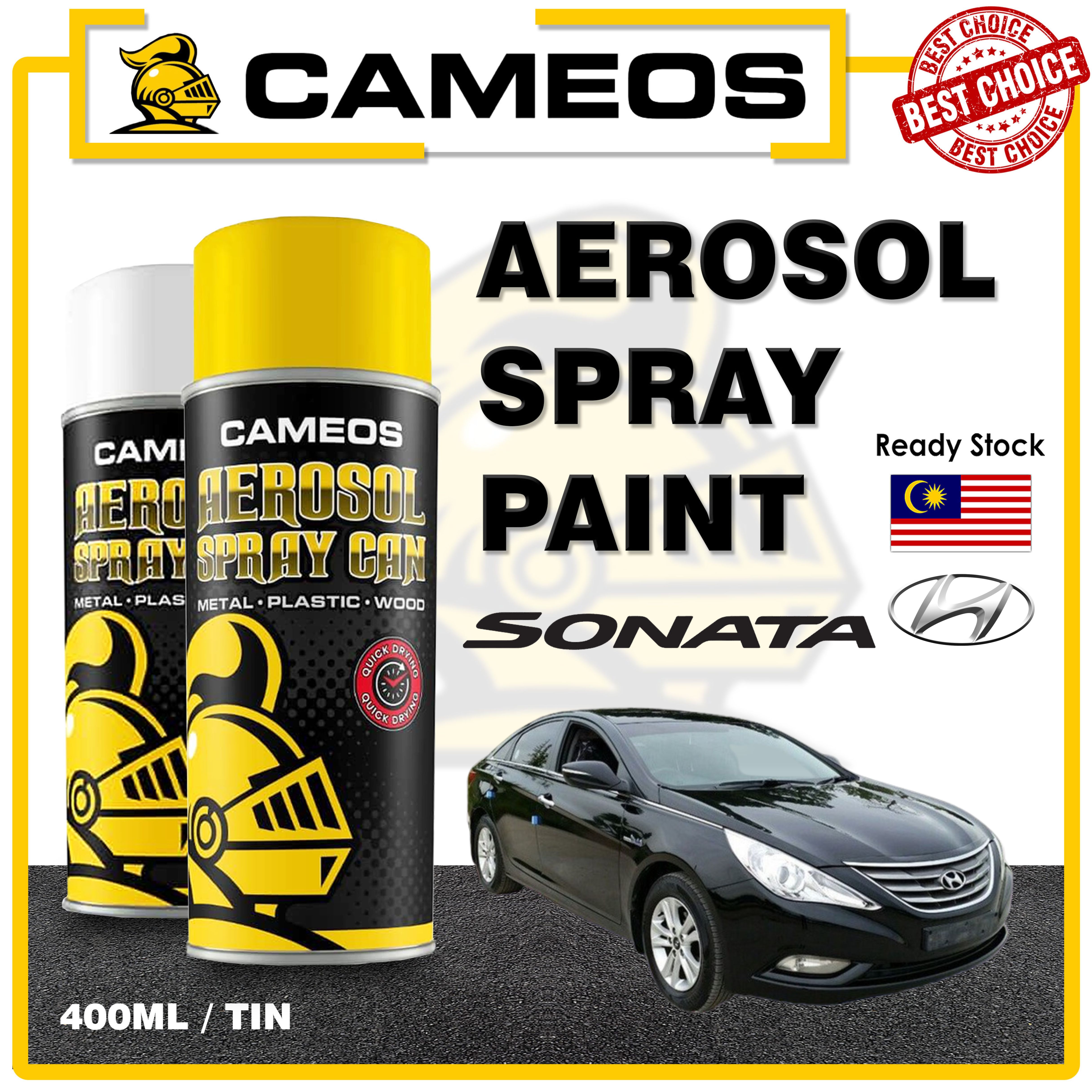 HYUNDAI SONATA GEN 6 Car Spray Paint Aerosol Paint Spray Paint