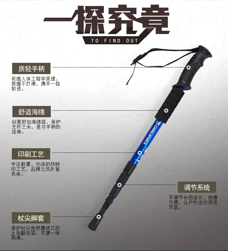champion walking pole
