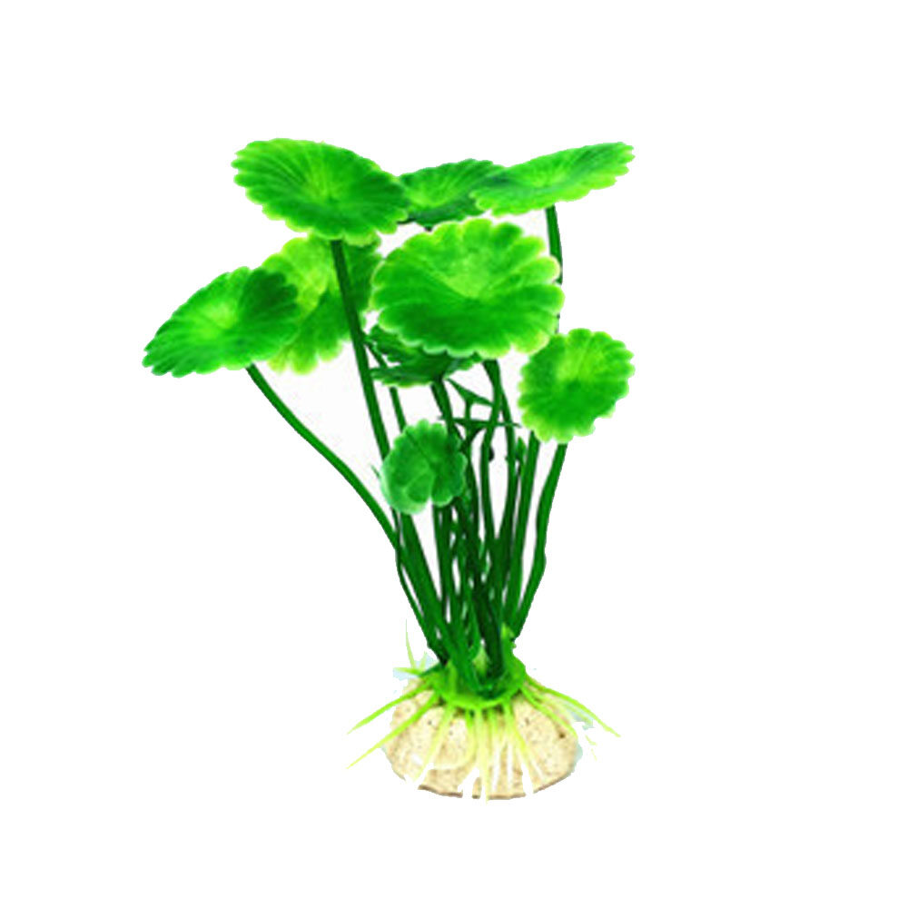 fish tank and accessories for sale