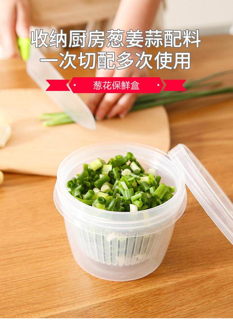Gambar Drain Container ROUND Food Storage Double Layer Water For Garlic Spring Onion Scallion Drained Mushroom Cherry Tomato