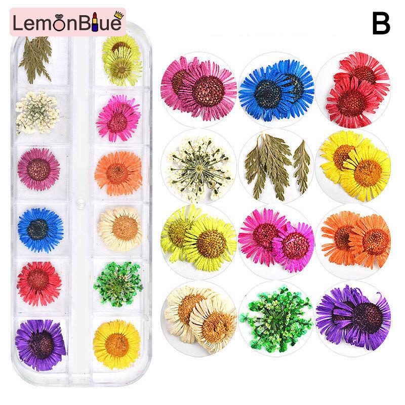 Gambar LemonBlue 12 Grid Dried Flower Nail Art Rhinestones Kit Multicolor Nail Art Decorations