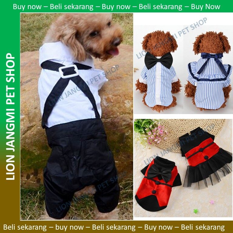 Anjing Dog Clothes Shop Near Me Pet Fashion Cloth Cat Dog Kitten