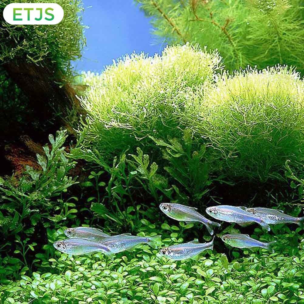 ferplast 80 dog cage