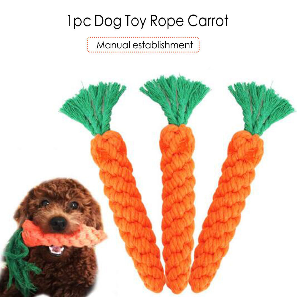 Do Carrots Help Clean Dogs Teeth
