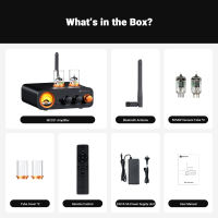 Fosi Audio MC331 2.0 Channel Bluetooth Stereo Integrated Amplifier with DAC Mini Audio Power Amp for Passive Speaker
