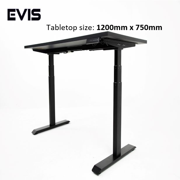 EVIS 10 to 27 Inch Gas Strut Monitor 