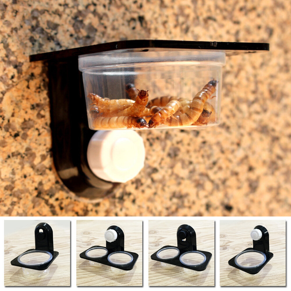 Reptile Tank Insect Spider Ants Nest Snake Gecko Food Water