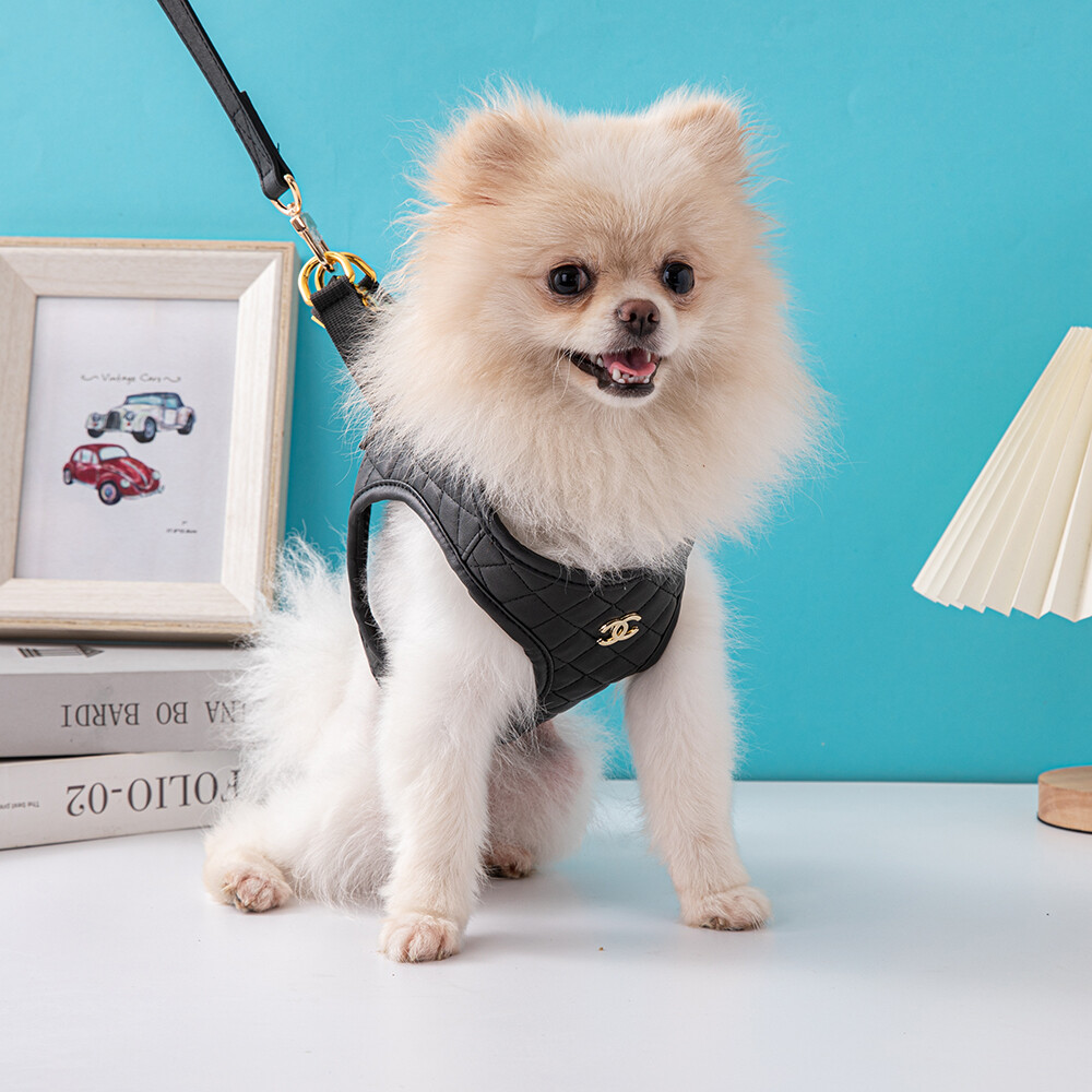 AuntieCindy Tide Brand Pet Harmess Diamond Lattice Leather Dog Vest Breathable Mesh Poodle Dog Harness with 150cm Leash