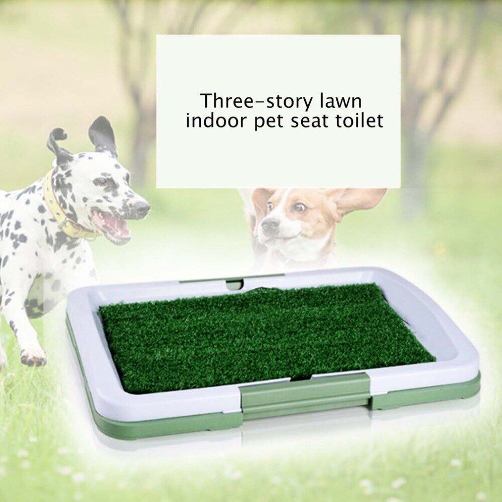 thảm tập đi vệ sinh cho chó thú cưng cỡ lớn 3 lớp thảm cho chó con thảm cỏ 2