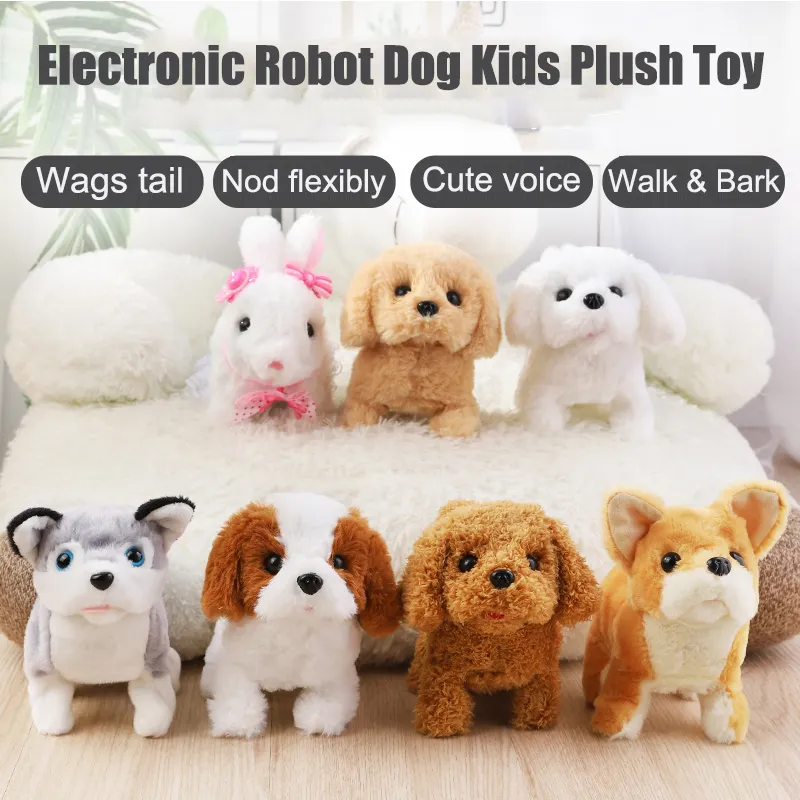robot dog companion