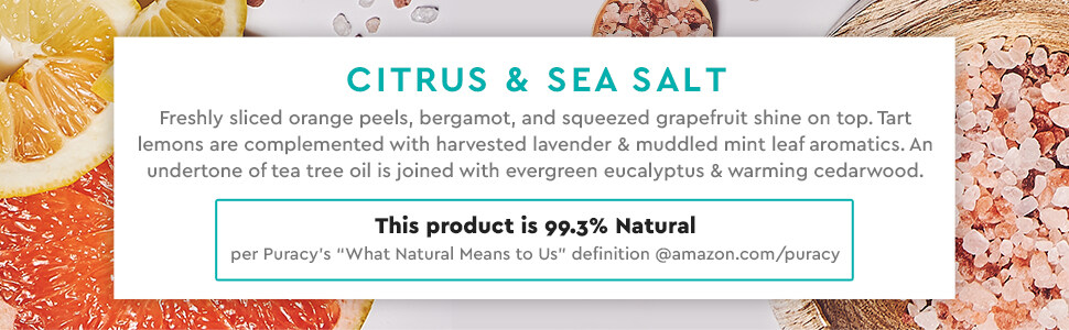 Puracy Natural Body Wash - Citrus & Sea Salt, 99.3% Natural