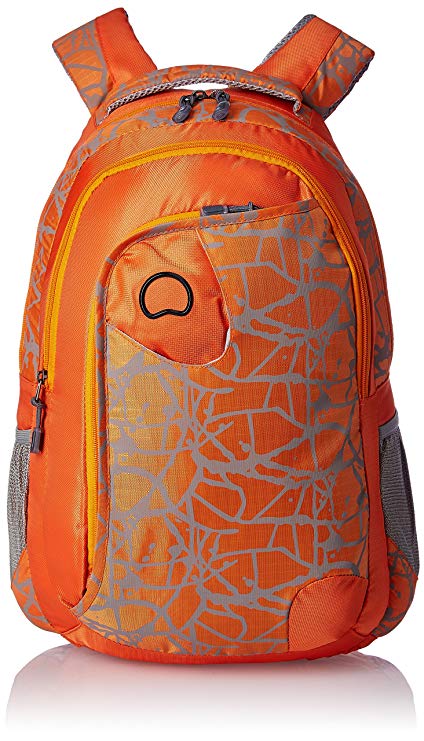 Image result for delsey paris ballon backpack