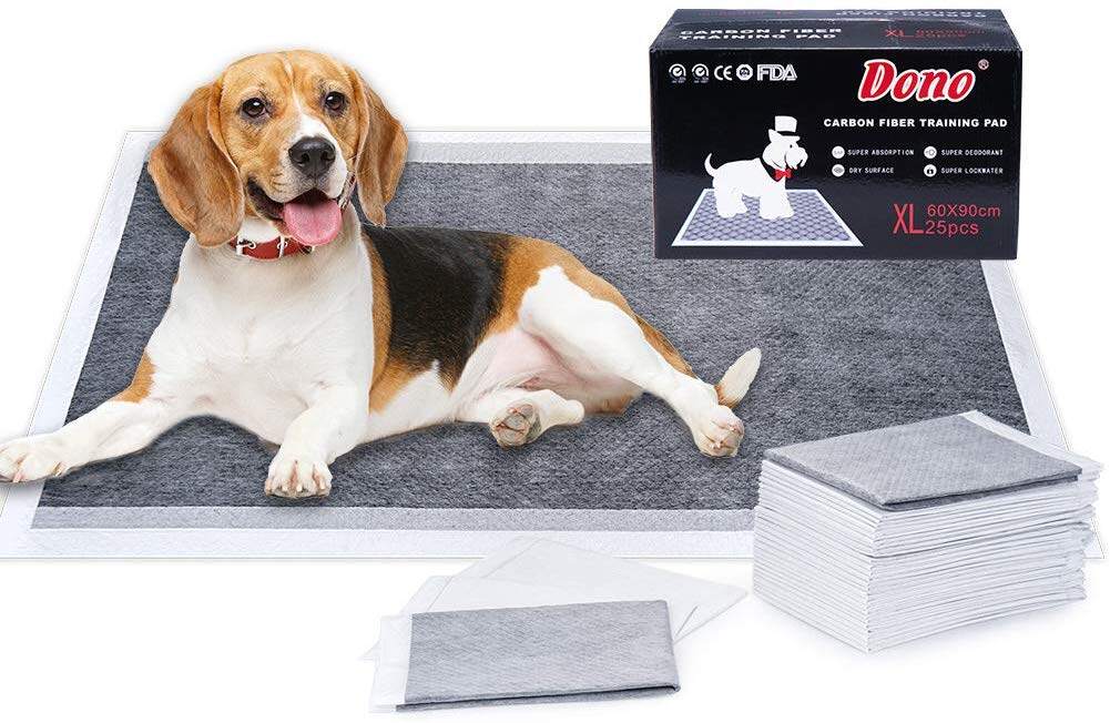 Do Dog Pee Pads Have A Scent