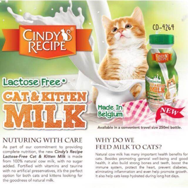 Visual Reference: Cindy Recipe Lactose Free Cat Kitten Milk 250Ml Susu Kucing