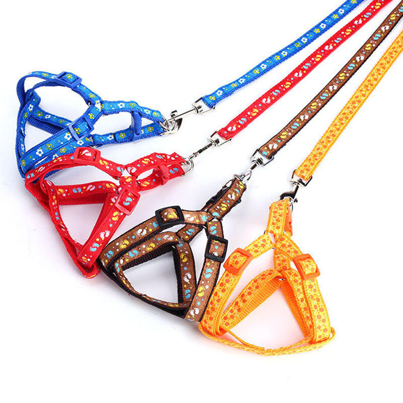 Dây Thừng Có Thể Điều Chỉnh Chó Nhỏ Mèo Dây Dắt Thú Cưng Và Dây Xích Cún Dây Xích Chó Con (Đen)