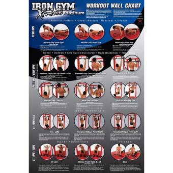 Iron Gym Extremme Pull up Bar  Dip Bar