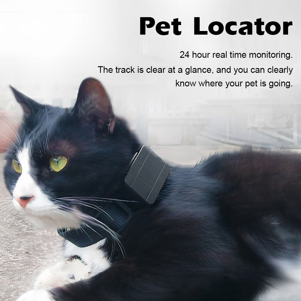lost pet locator