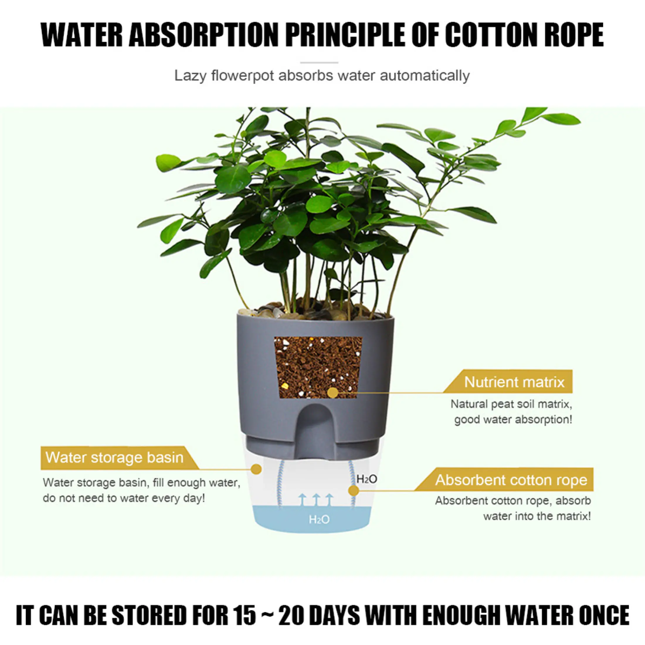 Transparent Circle Heat Automatic Water Absorption Hydroponics Succulent Plant With Cotton Rope Flower Pot Lazy Flowerpot Self Watering Watering Planter Lazada Singapore