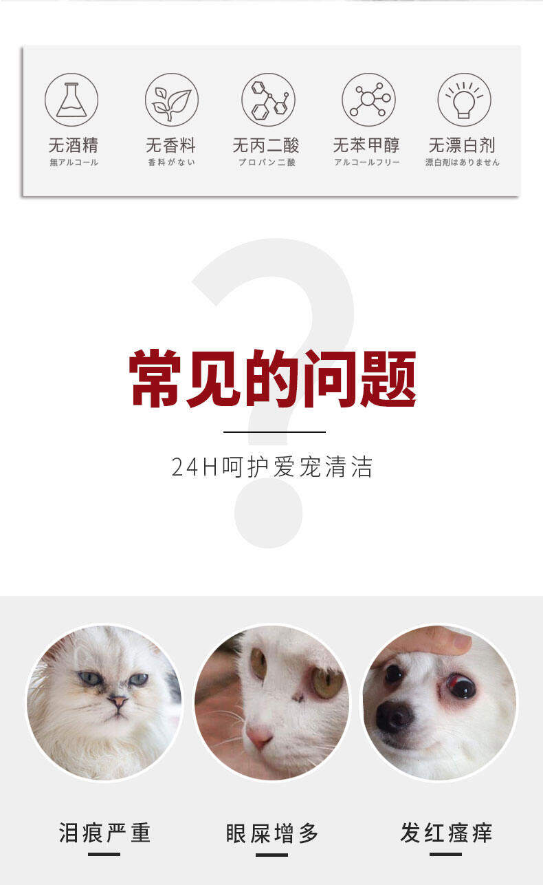 Dụng Cụ Lau Nước Mắt Mắt Mèo Kojima Dụng Cụ Làm Sạch Thần Khí Loại Bỏ Phân Mắt Cho Mèo Và Chó Chuyên Dụng 2