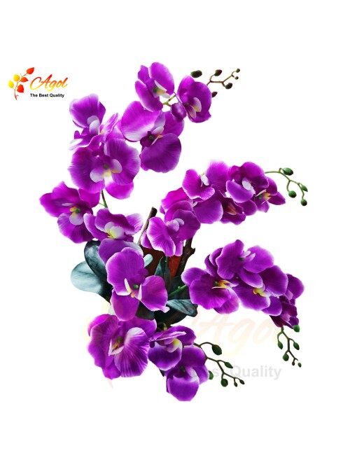 Lan treo tường 4 cành tím