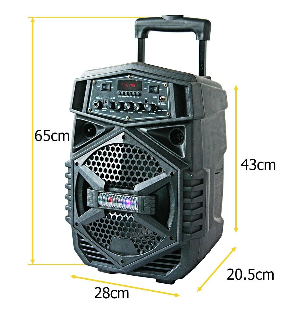 party speaker with battery