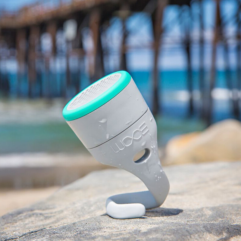 polk audio boom swimmer