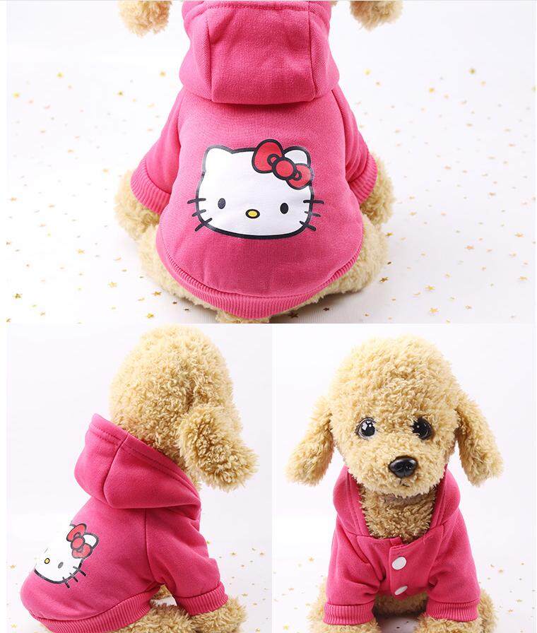 pink dog sweater