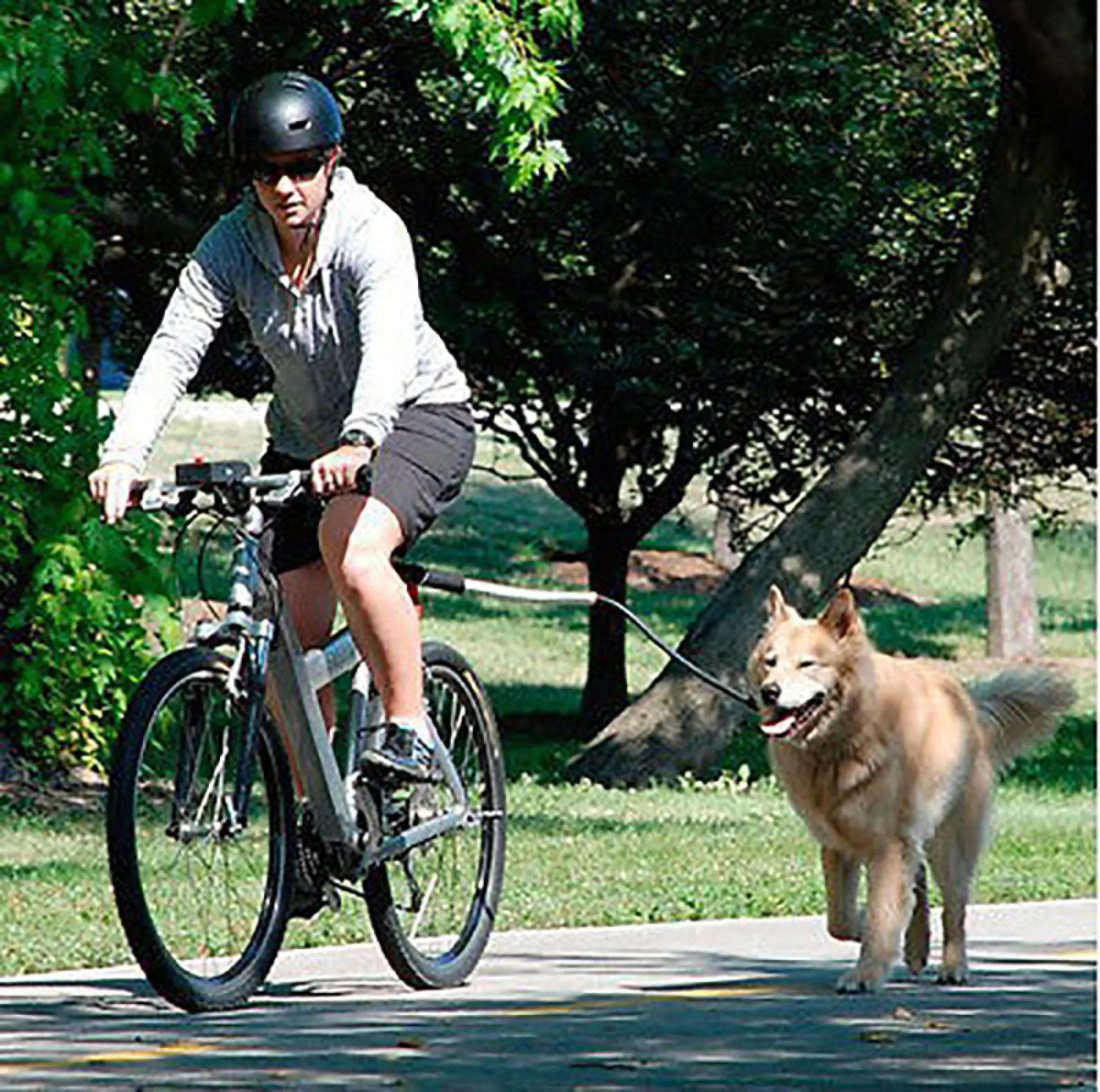 dog lead bike attachment