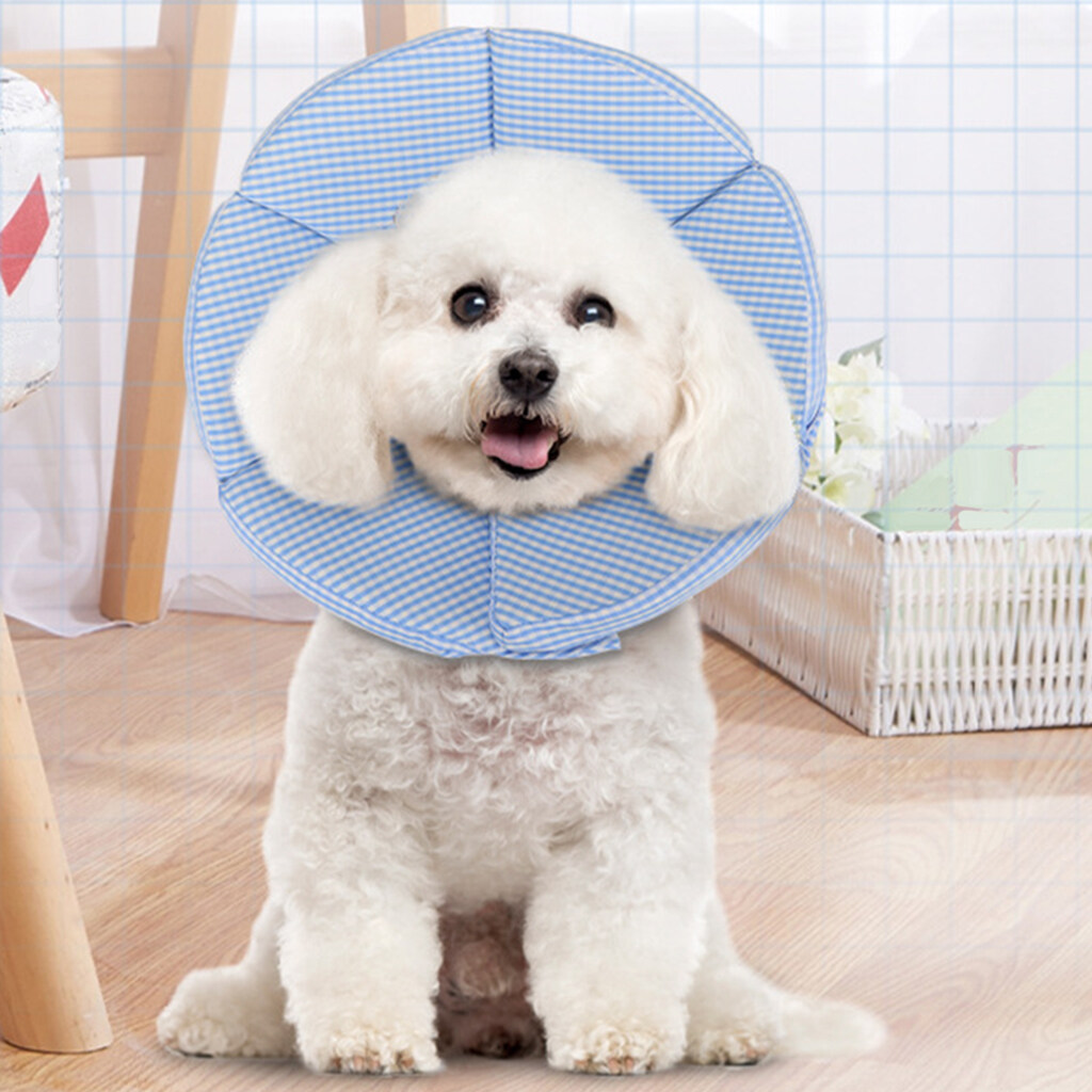 WORDERFUL Dog E-Collar Elizabethan Collars Recovery Pet Cone for Cats and Small Dogs Breathable Soft Edge and Easy to Clean 