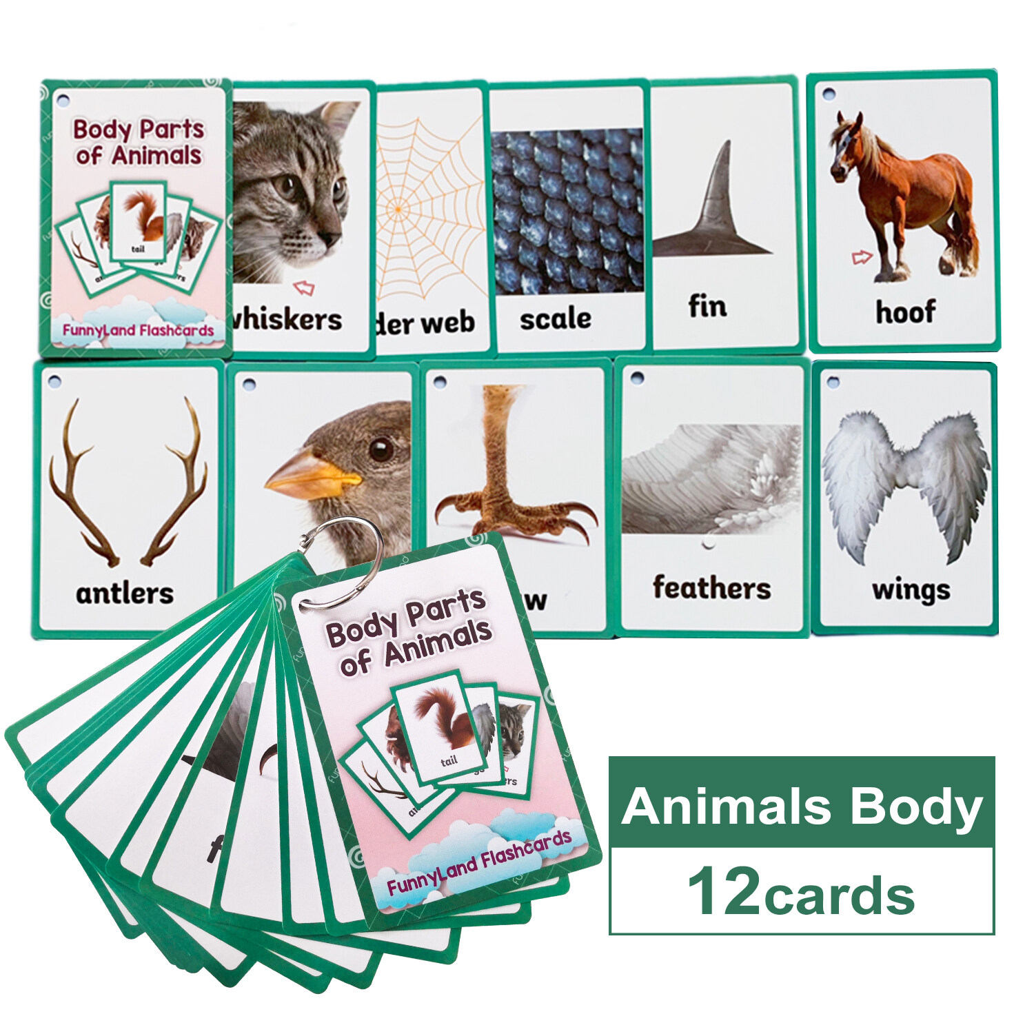 Animals Body Parts Cognitive English Words Cards Kids Flash Card Pocket  Card Cartoon Activity Cards Game Toddlers Early Learning Educational Toys  Gifts for Baby Kindergarten Teaching Aids | Lazada