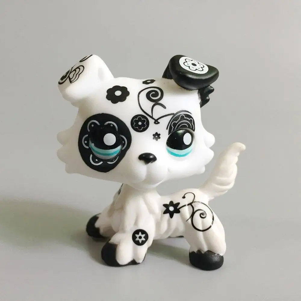 lps black and white dog