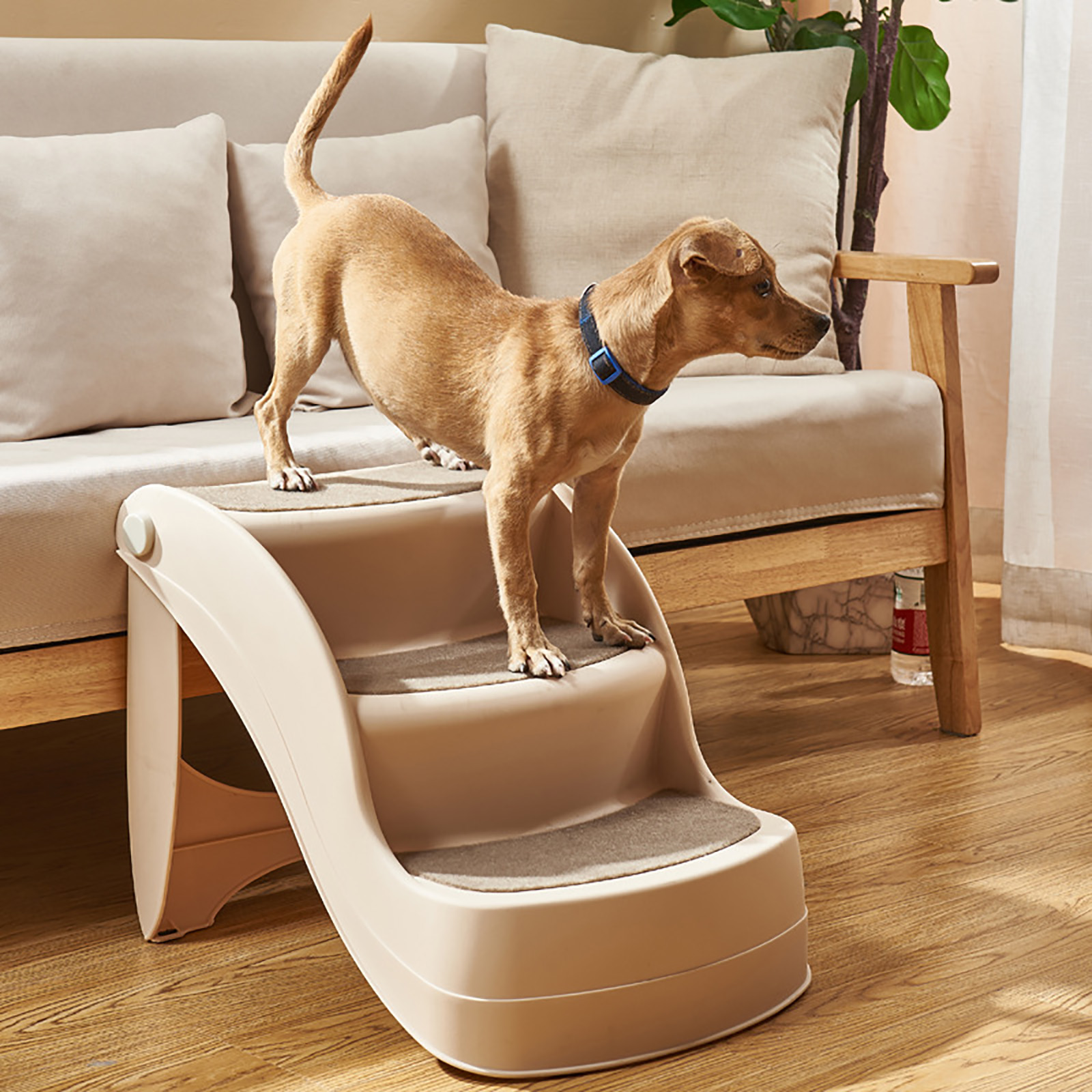 Cầu thang cho chó bậc thang cho thú cưng bậc thang cạnh giường có thể gập lại ghế sofa bệ cửa sổ thang leo núi cho chó mèo bậc thang phụ trợ
