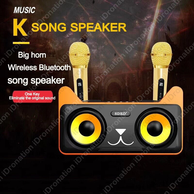 SDRD SD-305 SD305 Dual 2 Wireless Microphone Portable 3D Bluetooth Speaker  Mobile Wireless Karaoke Family KTV SD 305 Speaker | Lazada