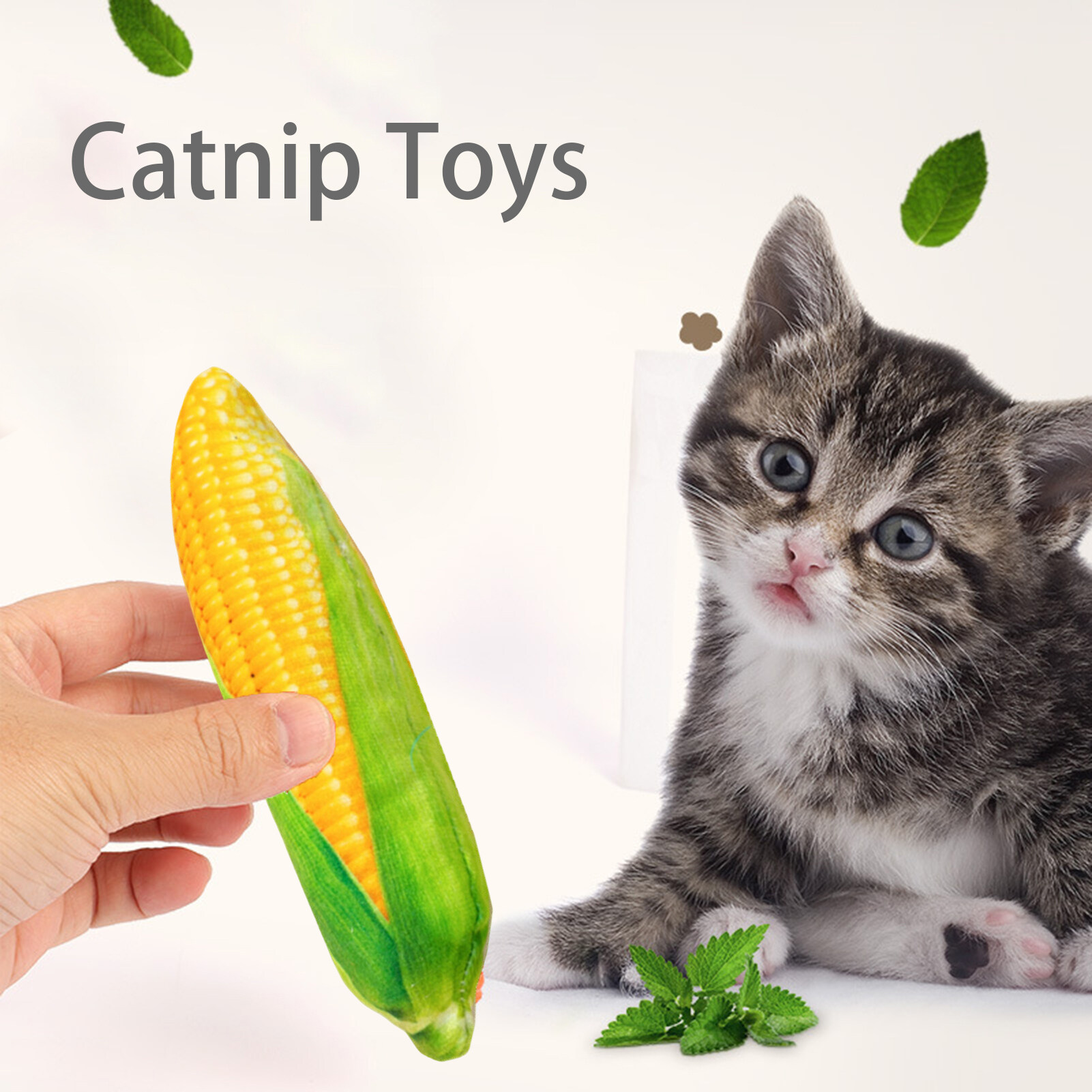 catnip vegetable